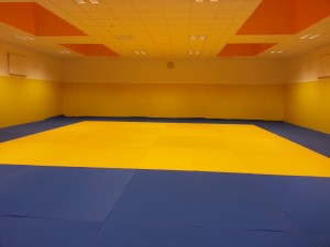 dojo (2)