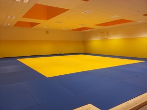 dojo