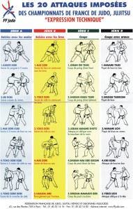 Les-20-attaques-imposees-de-Jujitsu
